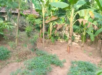 Residential House Villa for Sale in Palakkad, Mannarkkad, Mannarkad, Kulikkiliyad