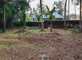 Residential Land for SaleErnakulam, Kalady, Mattoor