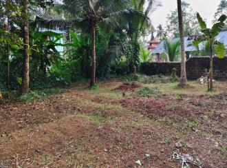 Residential Land for Sale in Ernakulam, Kalady, Mattoor, https://maps.app.goo.gl/QVJrA6CoVU1vmZgk6