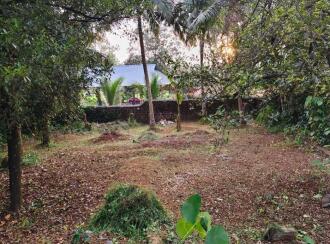 Residential Land for Sale in Ernakulam, Kalady, Mattoor, https://maps.app.goo.gl/QVJrA6CoVU1vmZgk6