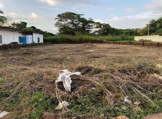 Commercial Land for Sale in Kannur, Chalode, Chalode, KPC HSS Pattannur, Kannur