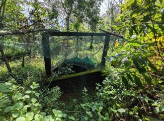 Residential House Villa for Sale in Kottayam, Mundakayam, Koruthode, -Anganavadi