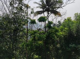 Residential House Villa for Sale in Kottayam, Mundakayam, Koruthode, -Anganavadi