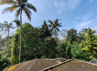 Residential House Villa for Sale in Kottayam, Mundakayam, Koruthode, -Anganavadi