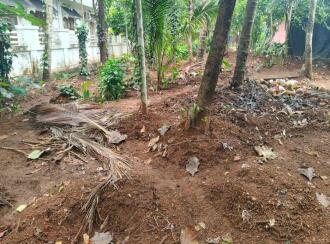 Residential Land for Sale in Palakkad, Shoranur, Arani, Institute for Communicative and Cognitive Neuro Science