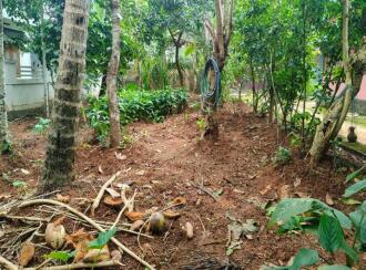 Residential Land for Sale in Palakkad, Shoranur, Arani, Institute for Communicative and Cognitive Neuro Science