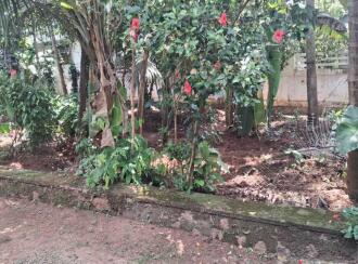 Residential Land for Sale in Palakkad, Shoranur, Arani, Institute for Communicative and Cognitive Neuro Science