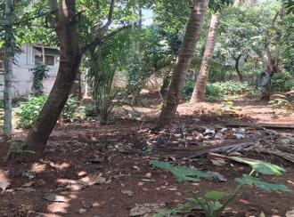 Residential Land for Sale in Palakkad, Shoranur, Arani, Institute for Communicative and Cognitive Neuro Science