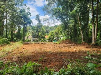 Residential Land for Sale in Kottayam, Manarcadu, Manarcadu, MANARCADU -PALA ROAD