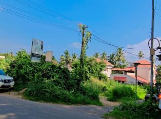 Residential Land for Sale in Palakkad, Palakkad, Palakkad town, Shadhi Mahal Convention center