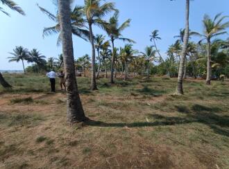 Residential Land, Kottayam