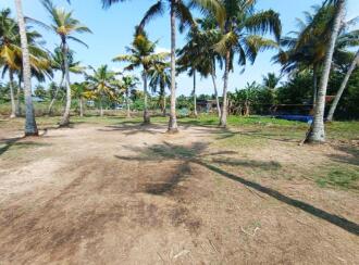 Residential Land for Sale in Kottayam, Vaikom, Chempu, CHEMPU VAIKOM