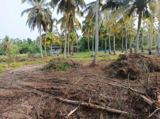Residential Land for Sale in Kottayam, Vaikom, Chempu, CHEMPU VAIKOM