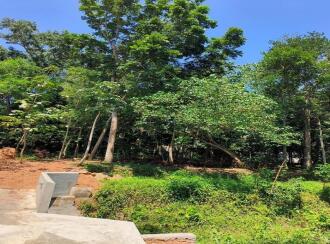 Residential Land, Trivandrum