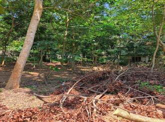 Residential Land for Sale in Trivandrum, Neyyattinkara, Avanakuzhi, Near to CSI ITC Kodiyannoorkonam