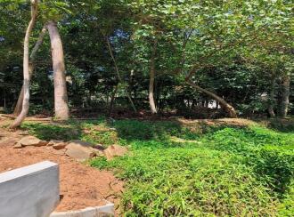 Residential Land for Sale in Trivandrum, Neyyattinkara, Avanakuzhi, Near to CSI ITC Kodiyannoorkonam