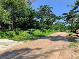 Residential Land for Sale in Trivandrum, Neyyattinkara, Avanakuzhi, Near to CSI ITC Kodiyannoorkonam
