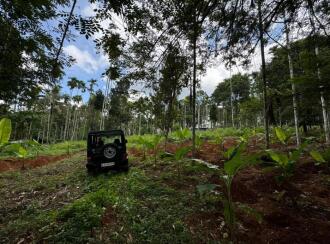 Commercial Land for Sale in Wayanad, Sulthan bathery, Krishnagiri, Near to NH 212, Pathiripalam