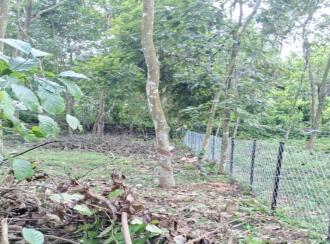 Residential Land for Sale in Ernakulam, Muvattupuzha, Kalamboor, Chirappady