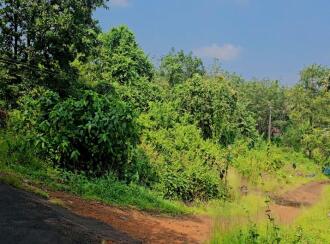Residential Land for SaleKasargod, Kanhangad, Thayannur
