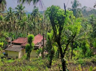 Residential Land for Sale in Kasargod, Kanhangad, Thayannur