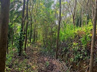 Residential Land for Sale in Kasargod, Kanhangad, Thayannur