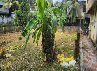 Residential Land for Sale in Kottayam, Karukachal, Karukachal, Between Archadia hotel and Lara Tower