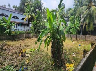 Residential Land for Sale in Kottayam, Karukachal, Karukachal, Between Archadia hotel and Lara Tower
