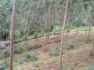 Residential Land for Sale in Ernakulam, Muvattupuzha, Maneed