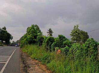 Commercial Land for Sale in Palakkad, Palakkad, Muttikulagara, Kozhikode- Palakkad Highway