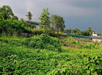 Commercial Land for Sale in Palakkad, Palakkad, Muttikulagara, Kozhikode- Palakkad Highway