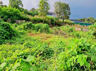 Commercial Land for Sale in Palakkad, Palakkad, Muttikulagara, Kozhikode- Palakkad Highway