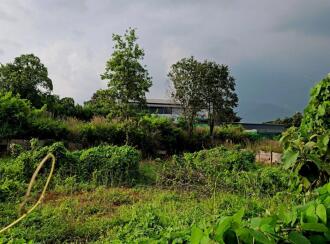 Commercial Land for Sale in Palakkad, Palakkad, Muttikulagara, Kozhikode- Palakkad Highway