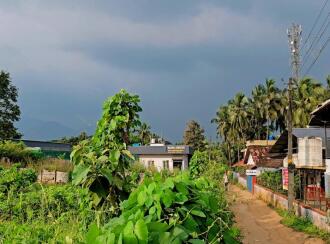 Commercial Land for Sale in Palakkad, Palakkad, Muttikulagara, Kozhikode- Palakkad Highway