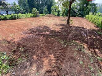 വാസയോഗ്യമായ ഭൂമി വില്പനയ്ക്ക് Alleppey, Mavelikara, Mavelikkara, Varenickal Kurathikad Road- Thekkekara