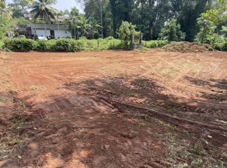 വാസയോഗ്യമായ ഭൂമി വില്പനയ്ക്ക് Alleppey, Mavelikara, Mavelikkara, Varenickal Kurathikad Road- Thekkekara