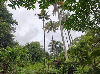 Residential Land, Thrissur