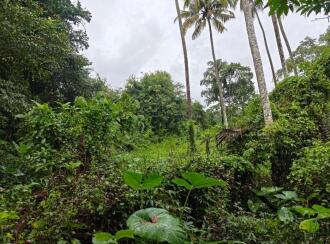 Residential Land for Sale in Thrissur, Mala, Vadama, 500 Meter away from Vadama School, Thrissur