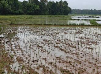 Agricultural Land for Sale in Thrissur, Mala, Vadama, Near Vadama School, thrissur