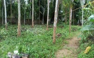 Residential Land for Sale in Alleppey, Chengannur, Ala, Neduvaramcode. Near SN collge & S N Higher secondary school