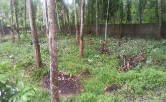 Residential Land for Sale in Alleppey, Chengannur, Ala, Neduvaramcode. Near SN collge & S N Higher secondary school