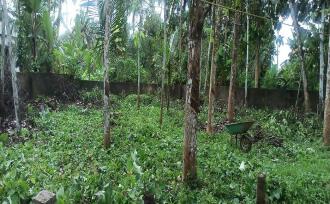 Residential Land for Sale in Alleppey, Chengannur, Ala, Neduvaramcode. Near SN collge & S N Higher secondary school