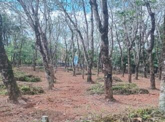 Commercial Land for Sale in Kollam, Kottarakkara, Vayaykal, opposite vayakkal temple