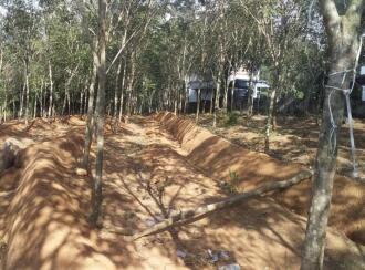 Agricultural Land for Sale in Kollam, Kulathupuzha, Kulathupuzha, St Thomas marthoma church road