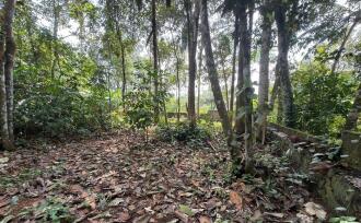 Residential Land for Sale in Pathanamthitta, Thiruvalla, Kumbanad, Opp. Dharmagiri Mandiram, Kumbanad