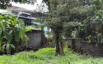 Residential Land for Sale in Pathanamthitta, Thiruvalla, Kumbanad, Opp. Dharmagiri Mandiram, Kumbanad