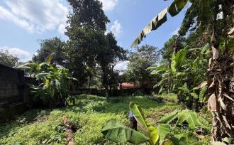 Residential Land for Sale in Pathanamthitta, Thiruvalla, Kumbanad, Opp. Dharmagiri Mandiram, Kumbanad