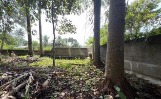 Residential Land for Sale in Pathanamthitta, Thiruvalla, Kumbanad, Opp. Dharmagiri Mandiram, Kumbanad