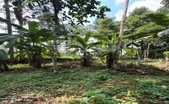 Residential Land for Sale in Pathanamthitta, Thiruvalla, Kumbanad, Opp. Dharmagiri Mandiram, Kumbanad