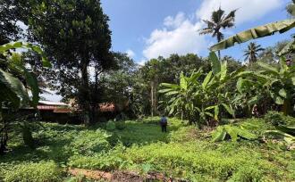 Residential Land for Sale in Pathanamthitta, Thiruvalla, Kumbanad, Opp. Dharmagiri Mandiram, Kumbanad